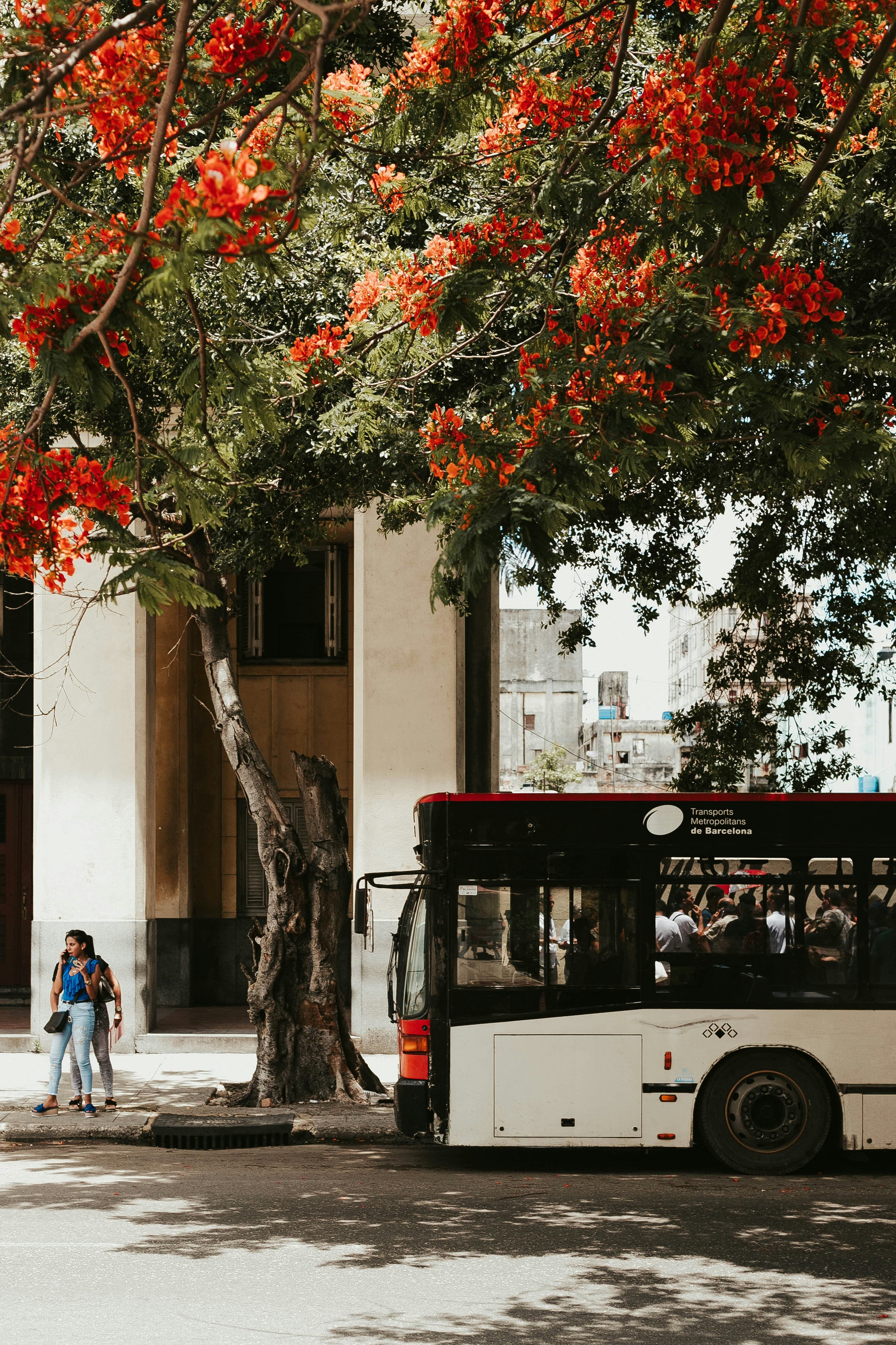 Modern luxury highway coach bus